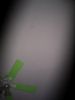 Green fan #1