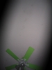 Green fan #2