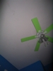 Green fan #5