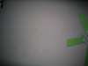Green fan #7