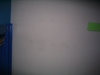 Green fan #8