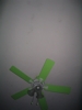 Green fan #9