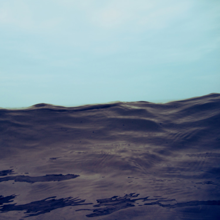 Wave #2769